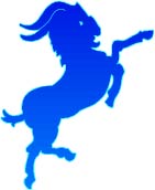 Capricorn